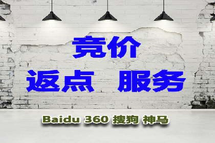 从零到一：企业如何通过百度竞价实现快速增长？——以某公司为例